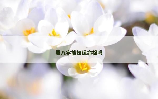 看八字能知道命格嗎