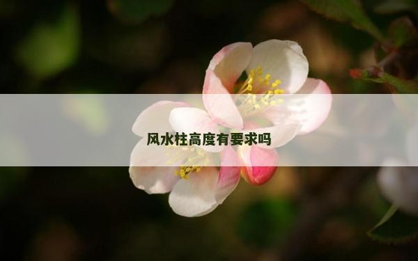 風水柱高度有要求嗎