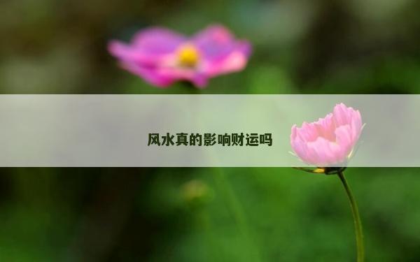 風(fēng)水真的影響財(cái)運(yùn)嗎