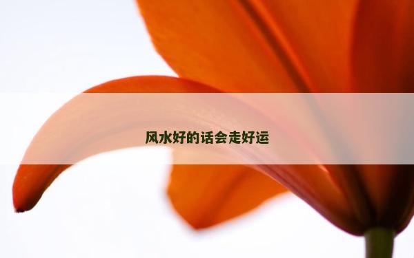 風(fēng)水好的話會走好運(yùn)