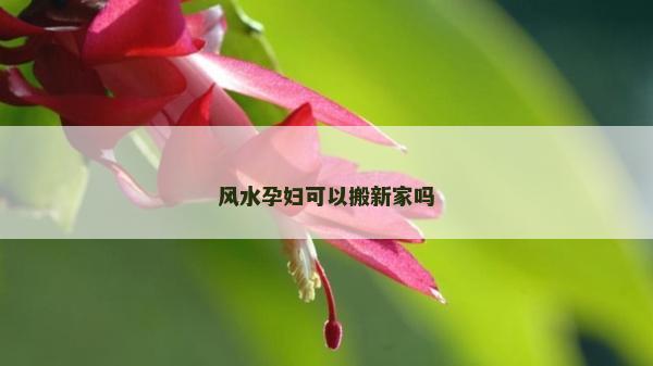 風水孕婦可以搬新家嗎