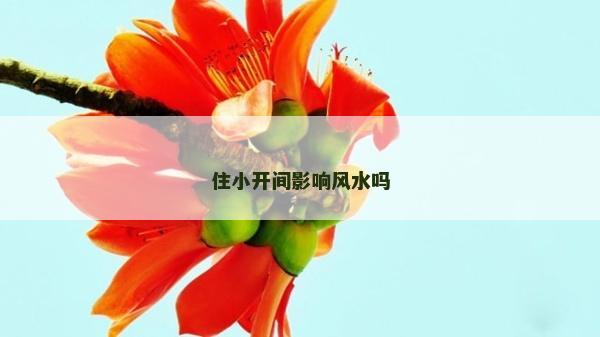 住小開間影響風水嗎