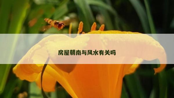 房屋朝南與風水有關嗎