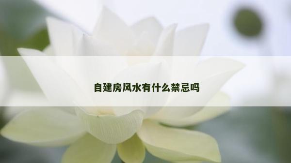 自建房風水有什么禁忌嗎