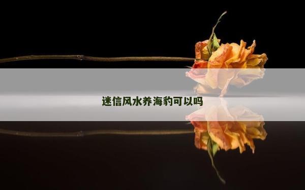 迷信風(fēng)水養(yǎng)海豹可以嗎
