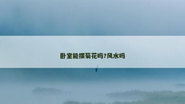 臥室能擺菊花嗎?風水嗎