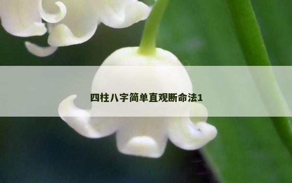 四柱八字簡單直觀斷命法1