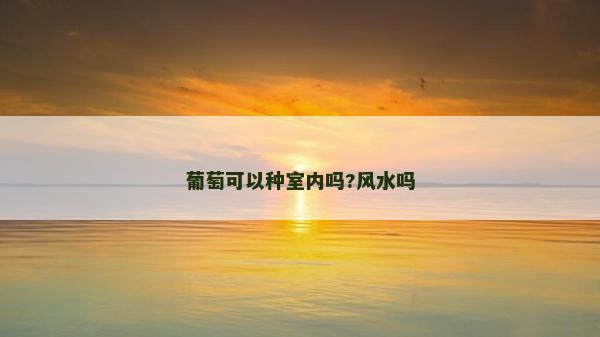 葡萄可以種室內嗎?風水嗎