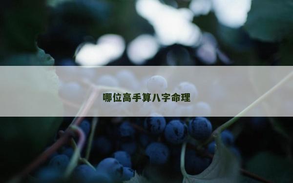 哪位高手算八字命理