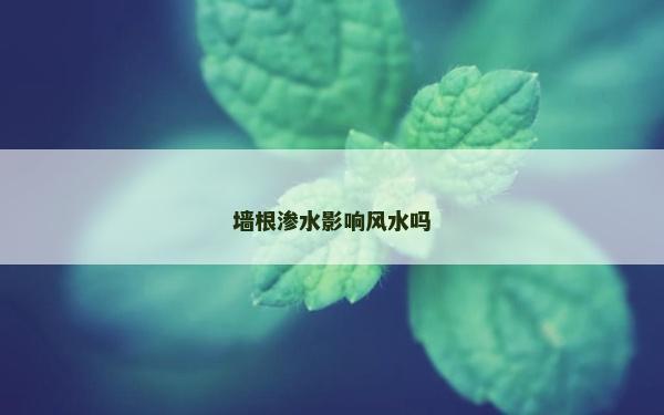 墻根滲水影響風水嗎