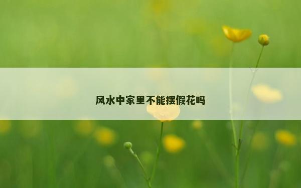 風水中家里不能擺假花嗎