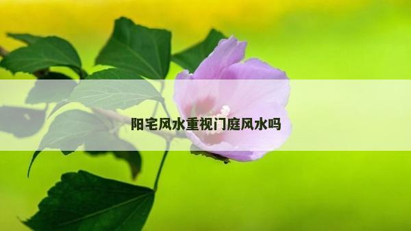 陽宅風水重視門庭風水嗎