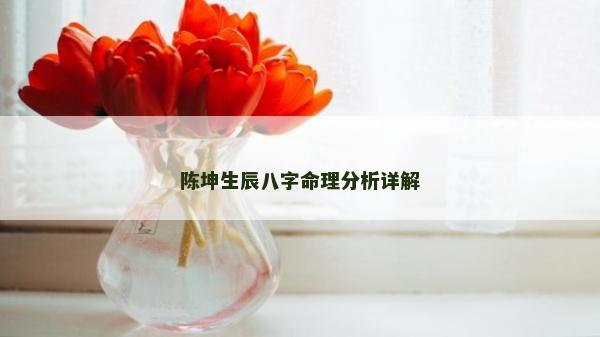 陳坤生辰八字命理分析詳解