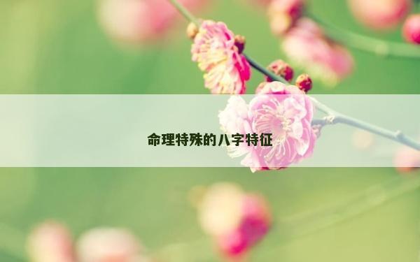 命理特殊的八字特征