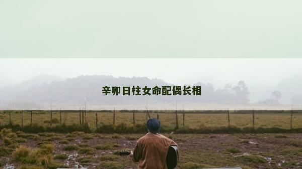 辛卯日柱女命配偶長相
