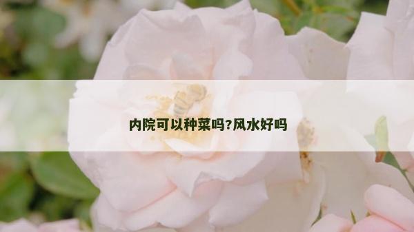 內(nèi)院可以種菜嗎?風(fēng)水好嗎