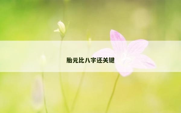 胎元比八字還關鍵 胎元比八字還關鍵