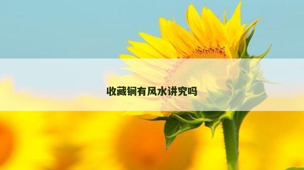 收藏锏有風水講究嗎
