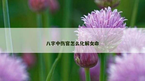 八字中傷官怎么化解女命