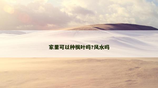 家里可以種楓葉嗎?風水嗎