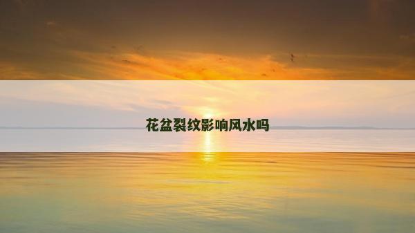 花盆裂紋影響風水嗎