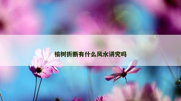 榆樹折斷有什么風水講究嗎