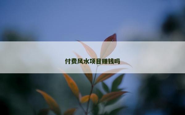 付費風(fēng)水項目賺錢嗎
