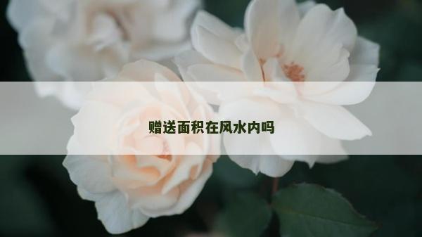 贈送面積在風水內嗎