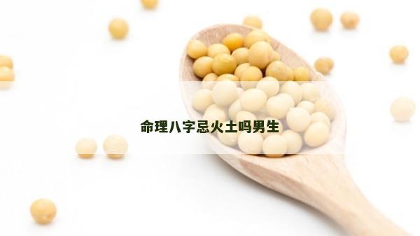 命理八字忌火土嗎男生