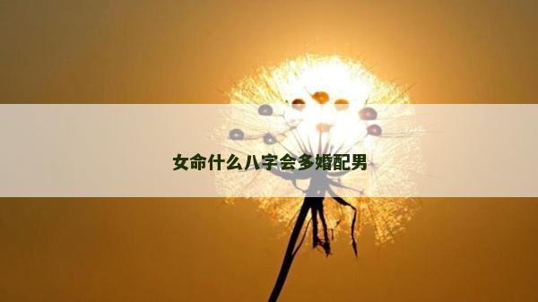 女命什么八字會多婚配男