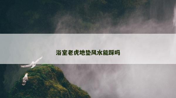 浴室老虎地墊風水能踩嗎 浴室老虎地墊風水能踩嗎
