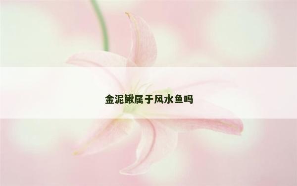 金泥鰍屬于風水魚嗎