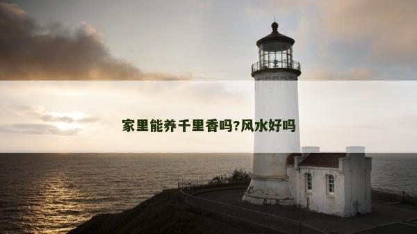 家里能養千里香嗎?風水好嗎