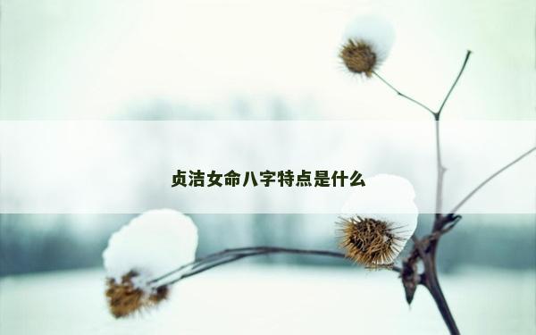貞潔女命八字特點是什么