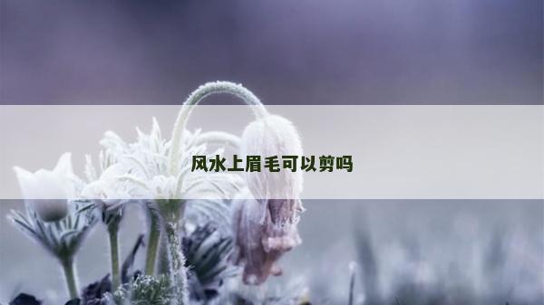 風水上眉毛可以剪嗎