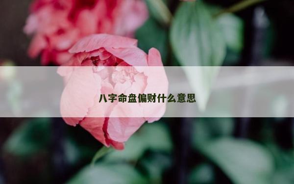 八字命盤偏財什么意思
