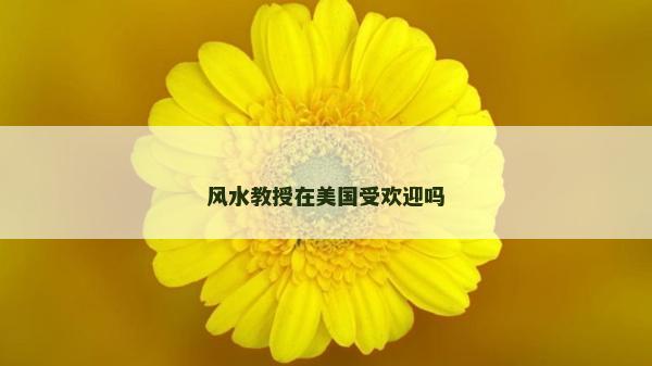 風水教授在美國受歡迎嗎