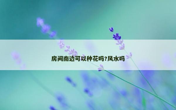 房間南邊可以種花嗎?風水嗎