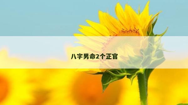 八字男命2個正官
