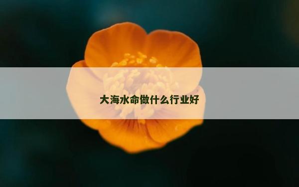 大海水命做什么行業好