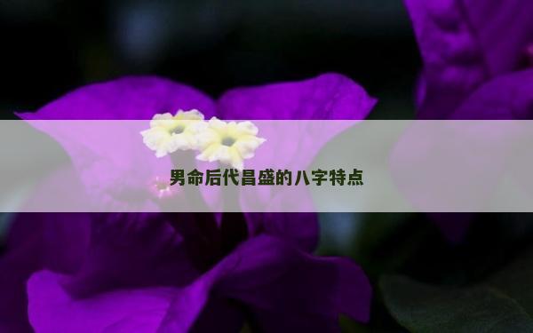 男命后代昌盛的八字特點