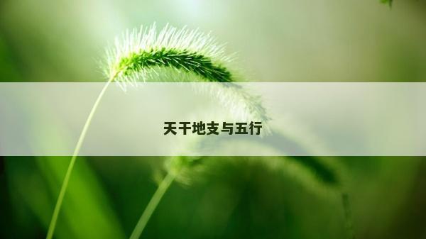 天干地支與五行
