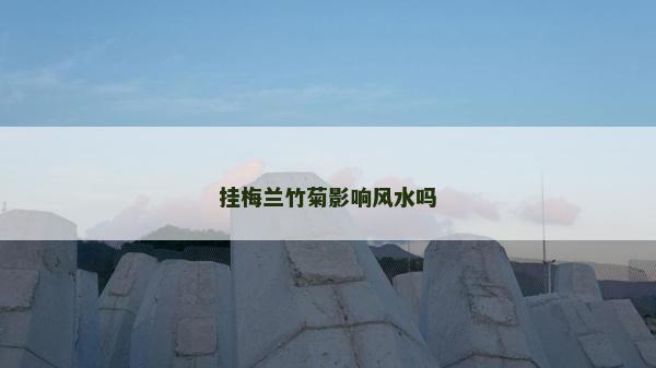 掛梅蘭竹菊影響風水嗎