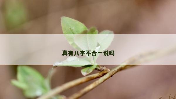 真有八字不合一說嗎