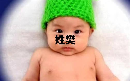 姓樊叫什么名字好 姓樊的男孩冷門(mén)獨(dú)特的名字