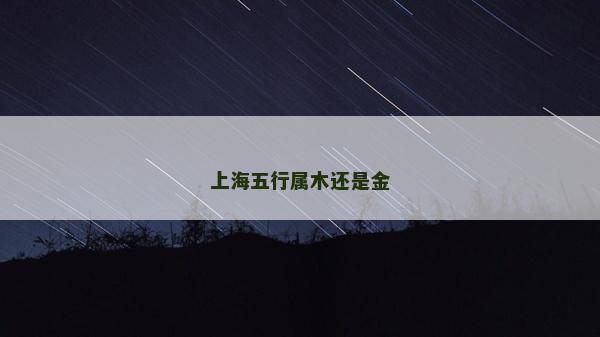 上海五行屬木還是金