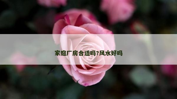 家庭廠房合適嗎?風(fēng)水好嗎