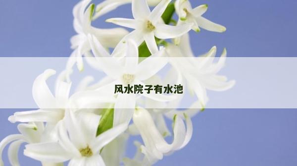風(fēng)水院子有水池 風(fēng)水院子有水池