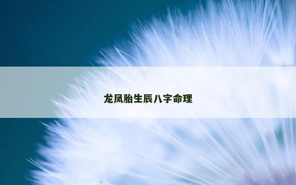 龍鳳胎生辰八字命理