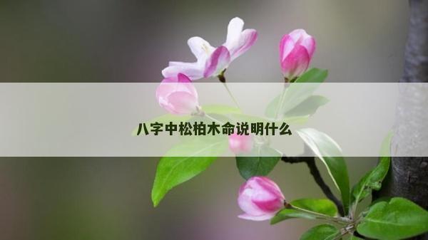 八字中松柏木命說明什么